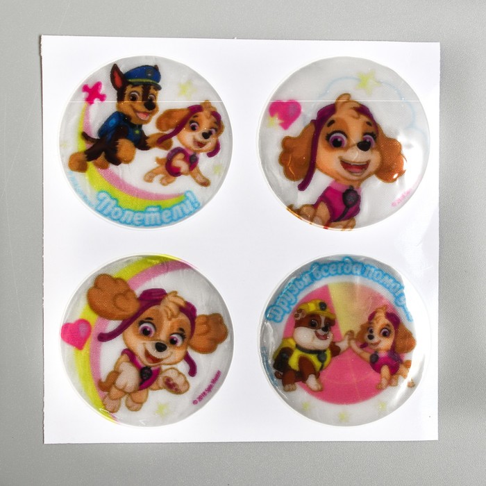 Набор наклеек светоотражающих 4 шт. PAW PATROL "Команда Скай"
