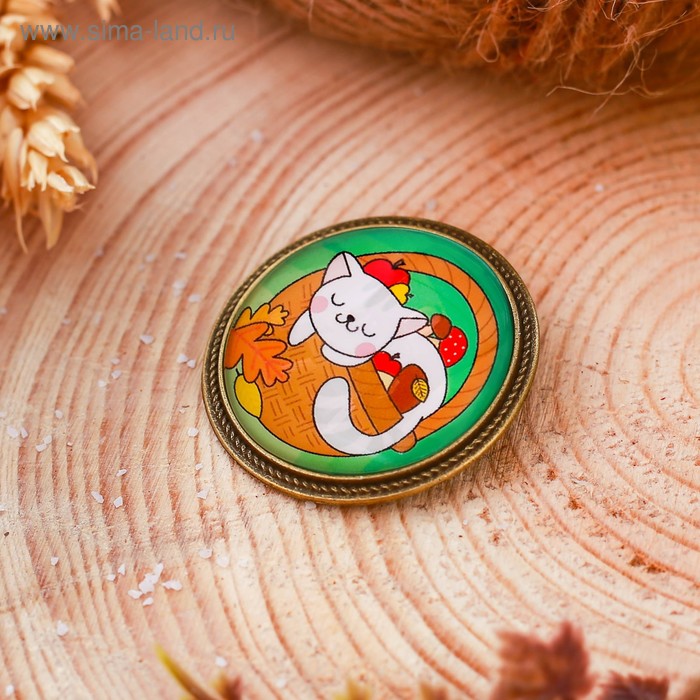 Брошь Котик 8 х 12 см 17₽