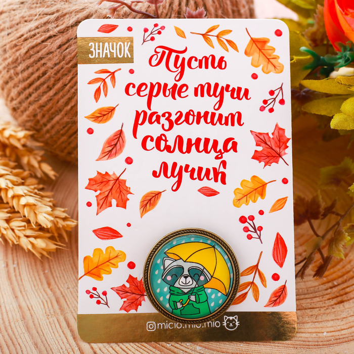 Значок "Енот"