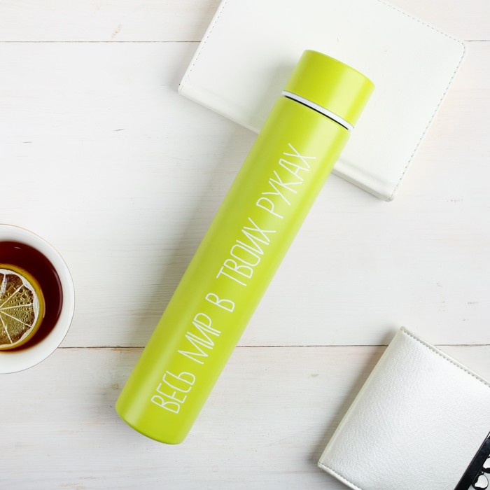 Термос "Весь мир в твоих руках", 260 мл