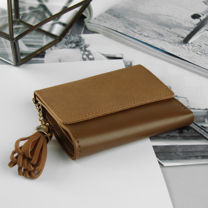 Кошелёк женский, 4 отдела, для карт, с кисточкой, цвет коричневый