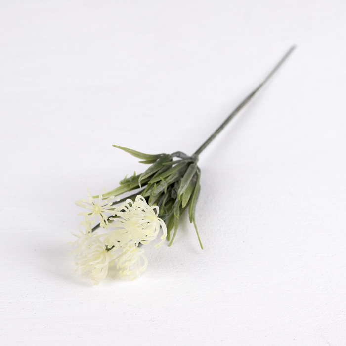 Букет "Амми" 15 см (цена за шт), микс