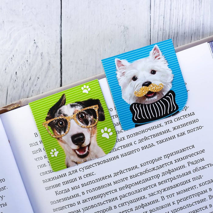 Магнитные закладки в коробке "Книжные милашки-обнимашки", 10 шт.