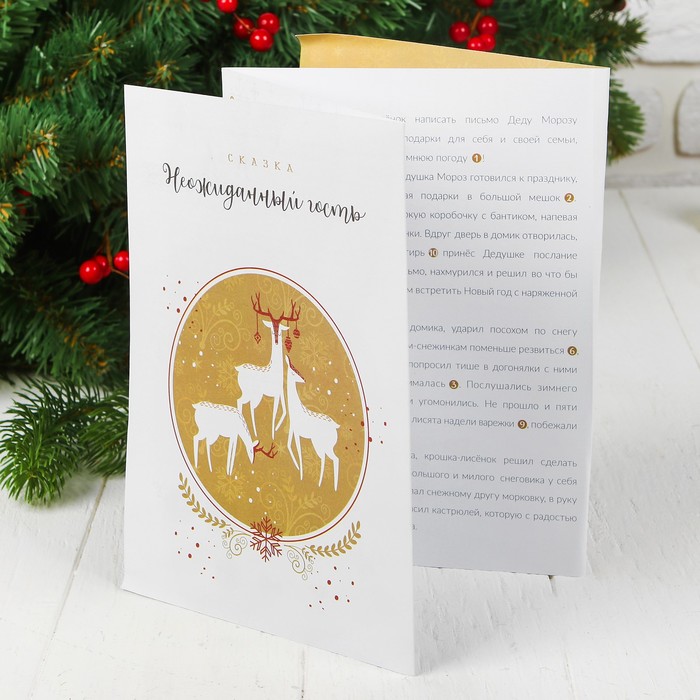 Набор для творчества "В гостях у Деда Мороза" 11 в1