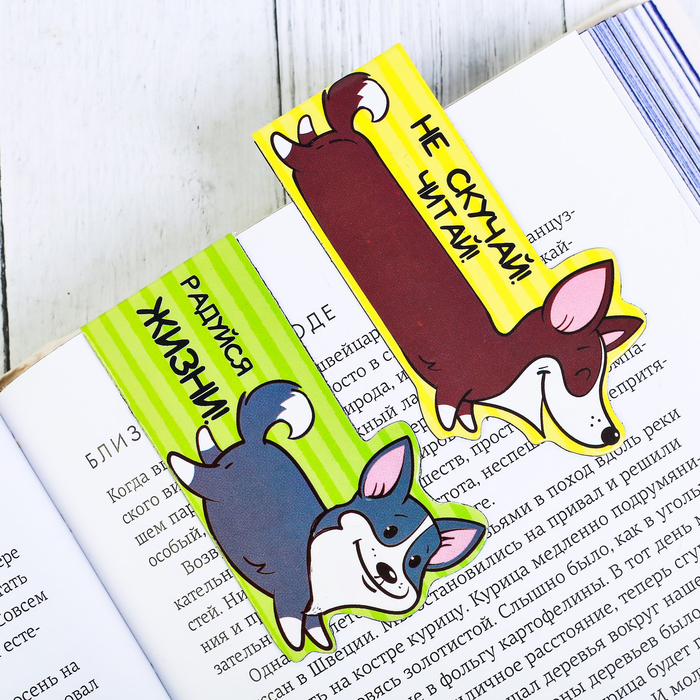 Магнитные закладки "Книжные закладки-зверятки", 3 шт.