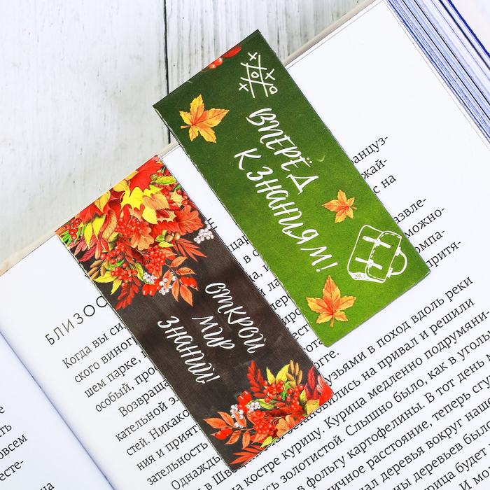 Магнитные закладки "Навстречу новым знаниям", 3 шт.