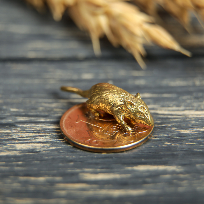 Сувениры из латуни &quot;Мышка на монетке&quot;