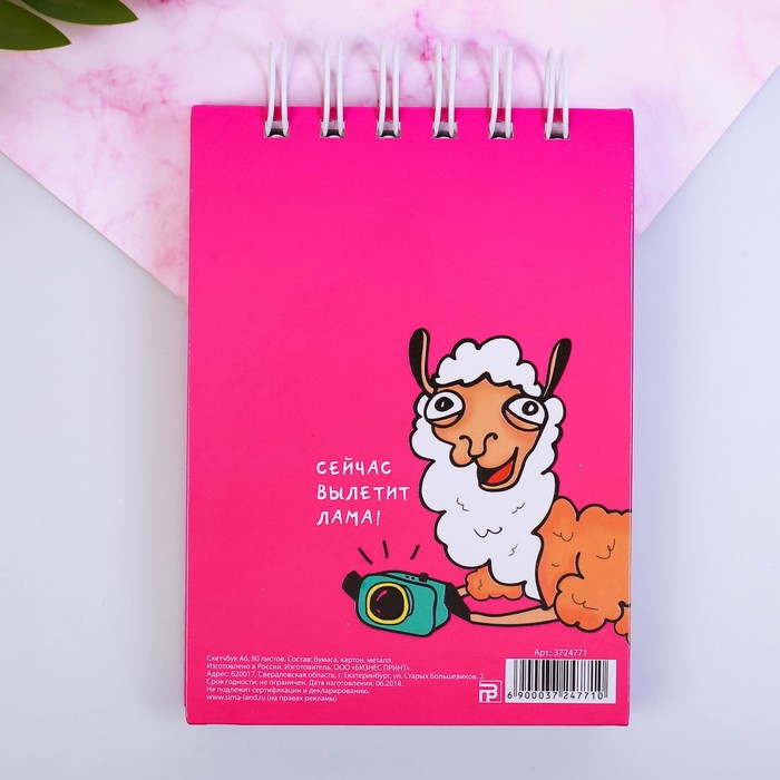 Скетчбук "Багама Лама", твёрдая обложка, А6, 80 листов