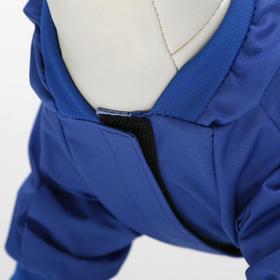 

Комбинезон дляживотных, без подклада, 2XL (ДС 34-36, ОШ 34-36, ОГ 44-48 см), синий