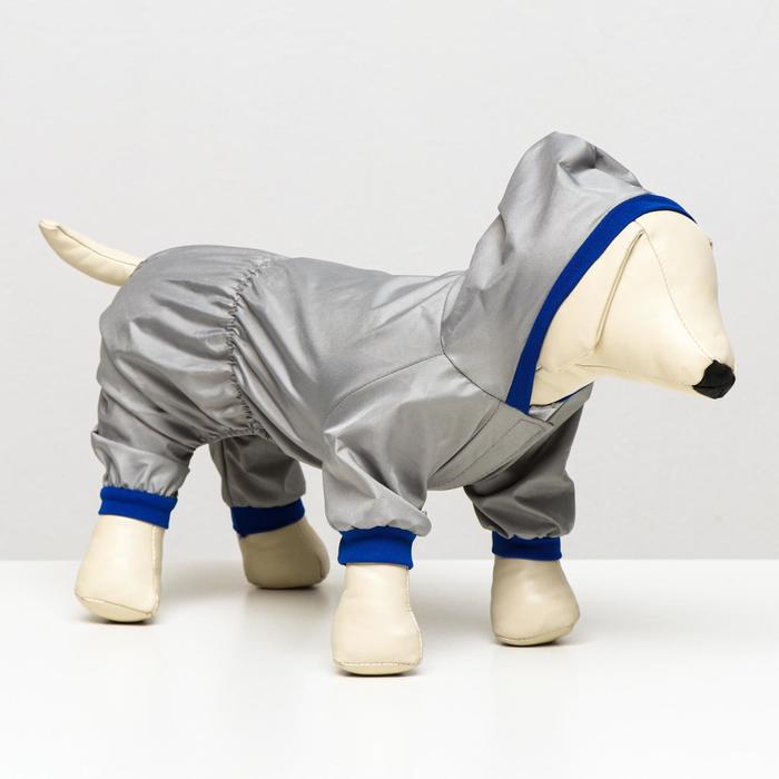 Комбинезон серый, размер S (ДС 20-22 см, ОШ 26 см, ОГ 32-34 см)