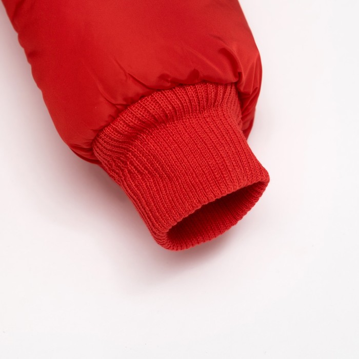 Куртка для девочки "Розочка", рост 110-116 см, цвет красный