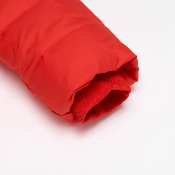 Куртка для девочки "Милашка", рост 140-146 см, цвет красный