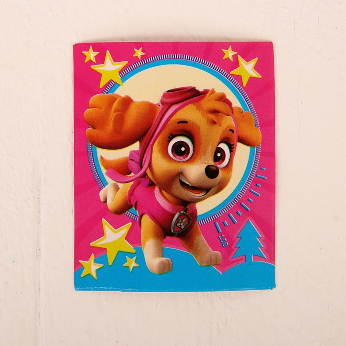 Щенячий патруль. Рюкзак детский "Скай" р-р.21*25