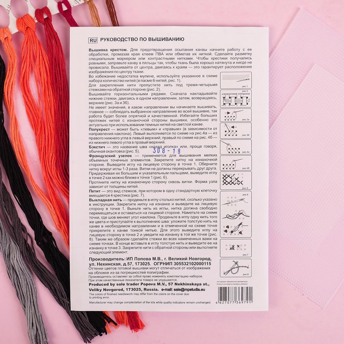 Вышивка на пластиковой канве "Вестник зимы" 13*9 см