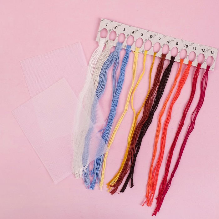 Вышивка на пластиковой канве "Шар. Морозная рябина" 9*9 см