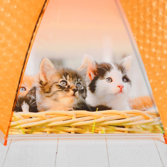 Зонт детский 3Д "Котятки"