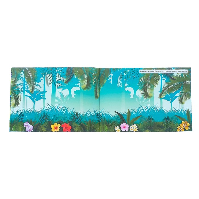 Книжка «111 наклеек. Птицы всего мира», 12 страниц