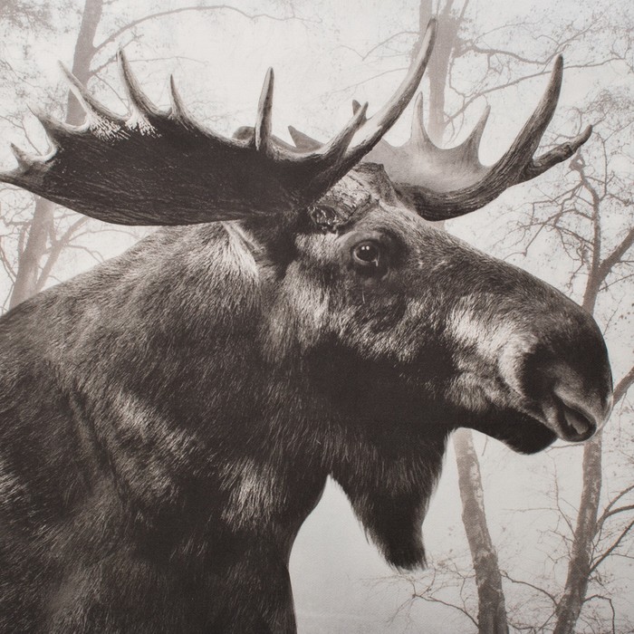 Набор "Доляна" Лось, полотенце 44х72 см, лопатка 20х5 см, фетровая варежка 14х22 см