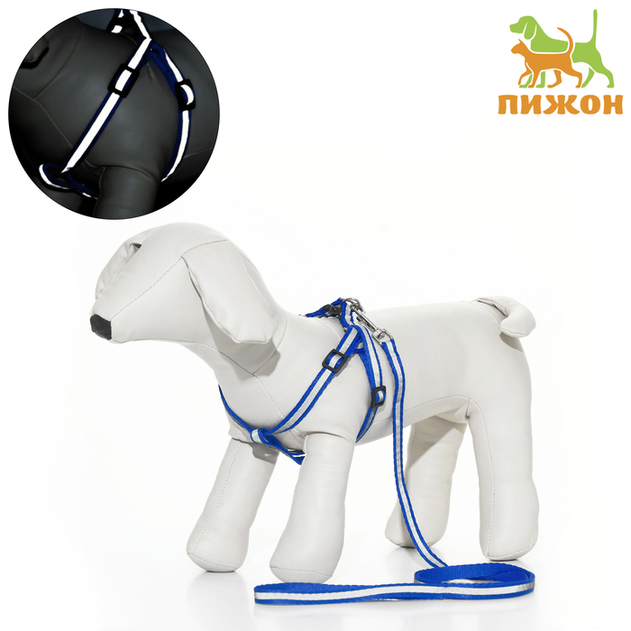 

Комплект со светоотражающей лентой, ошейник 120 х 1 см, ОГ 26-40 см, синий