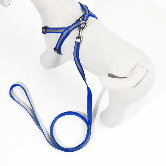 Комплект со светоотражающей лентой, ширина 1 см, поводок 120 см, шлейка 26-40 см, синий