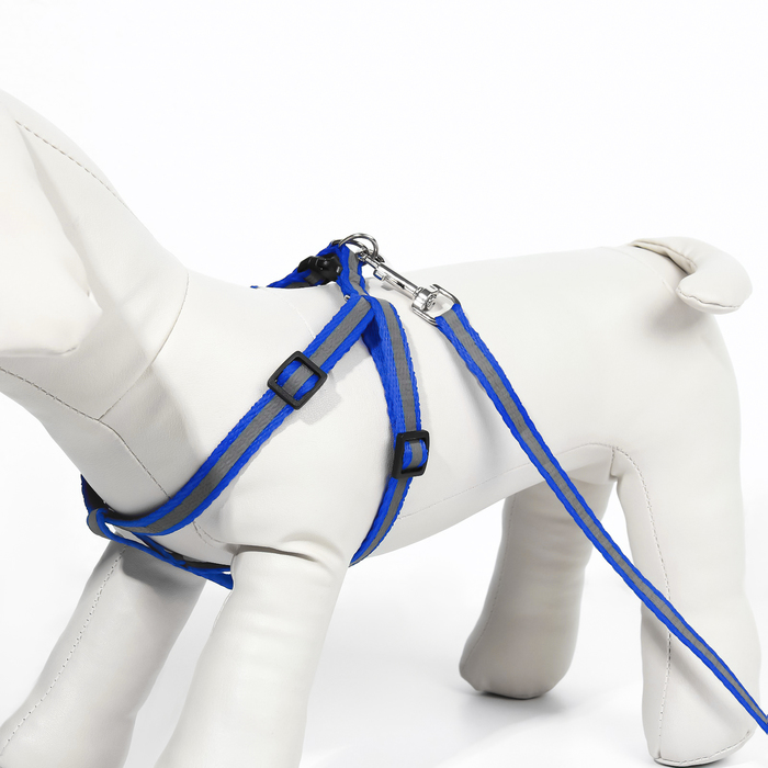 Комплект со светоотражающей лентой, ширина 1 см, поводок 120 см, шлейка 26-40 см, синий