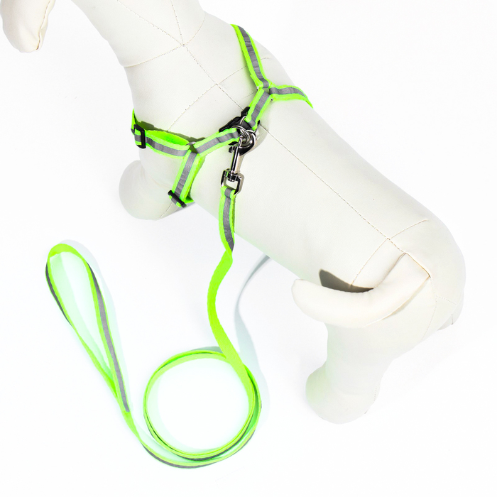 Комплект со светоотражающей лентой, ширина 1 см, поводок 120 см, шлейка 26-40 см, зеленый