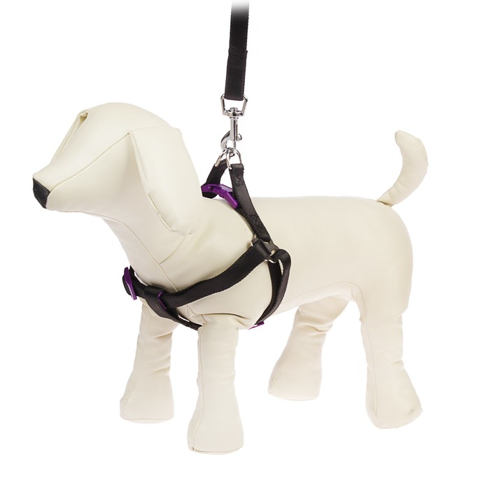 Комплект "Нежность" с металлическим соединением, 1,5 см, нейлон, черный