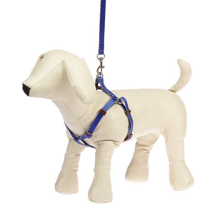 Комплект "Грация" с металлическим соединением, 1 см, нейлон, синий