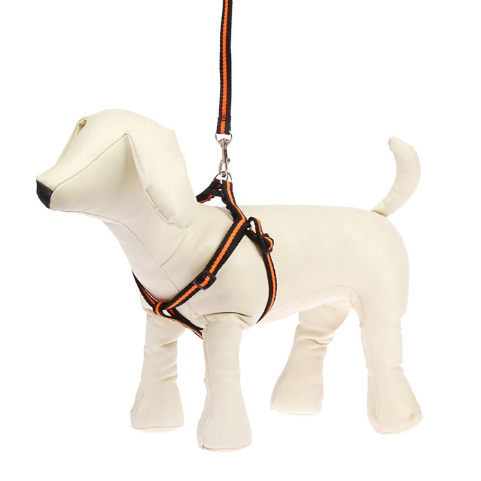 Комплект с амортизирующим поводком, 1 см, черно-оранжевый