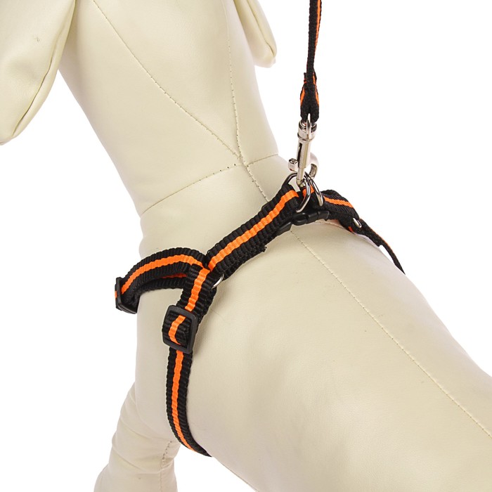 Комплект с амортизирующим поводком, 1 см, черно-оранжевый