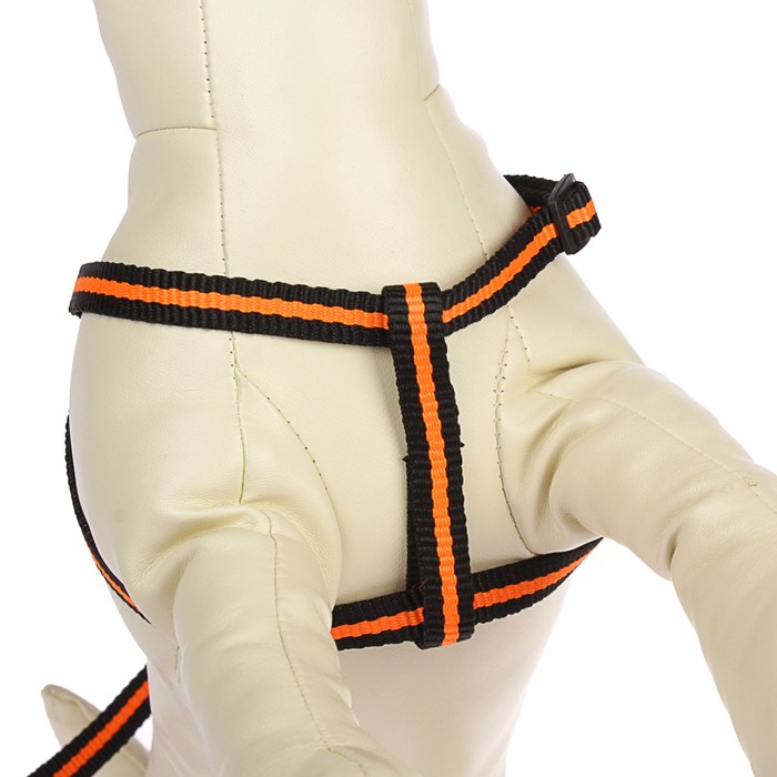 Комплект с амортизирующим поводком, 1 см, черно-оранжевый