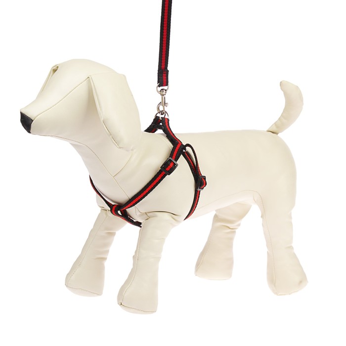 Комплект с амортизирующим поводком, 1 см, черно-красный