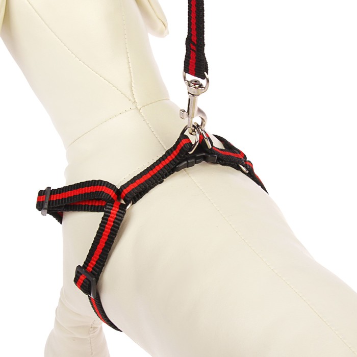 Комплект с амортизирующим поводком, 1 см, черно-красный