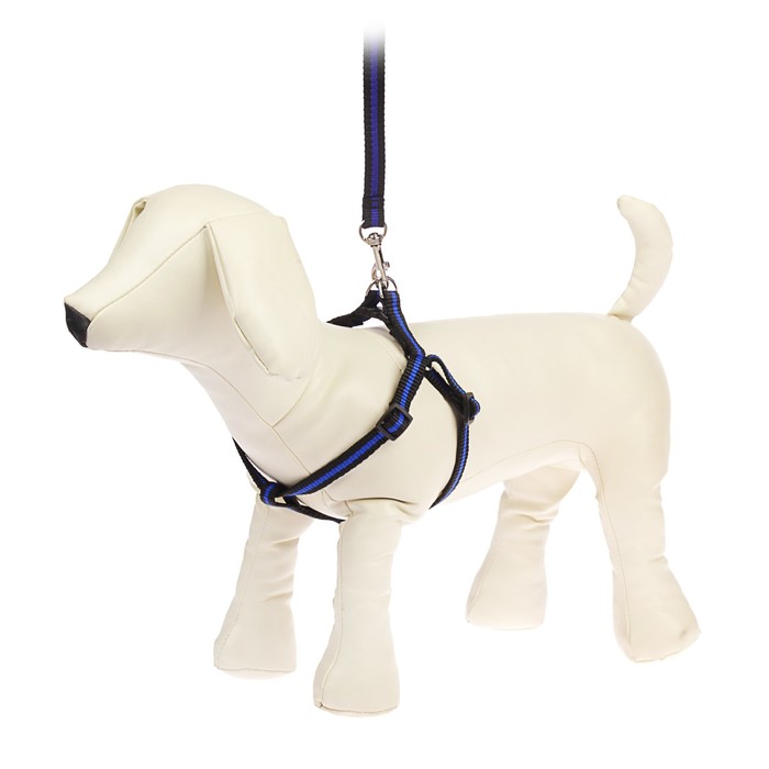 Комплект с амортизирующим поводком, 1 см, черно-синий