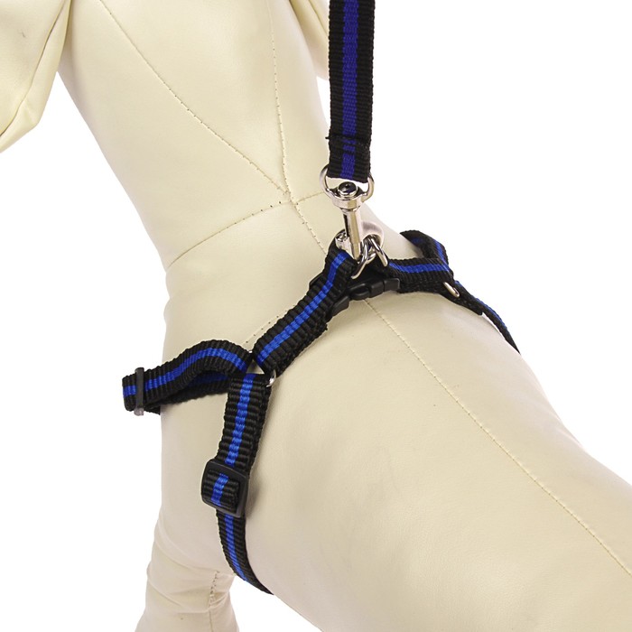 Комплект с амортизирующим поводком, 1 см, черно-синий