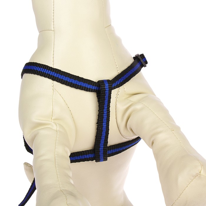 Комплект с амортизирующим поводком, 1 см, черно-синий