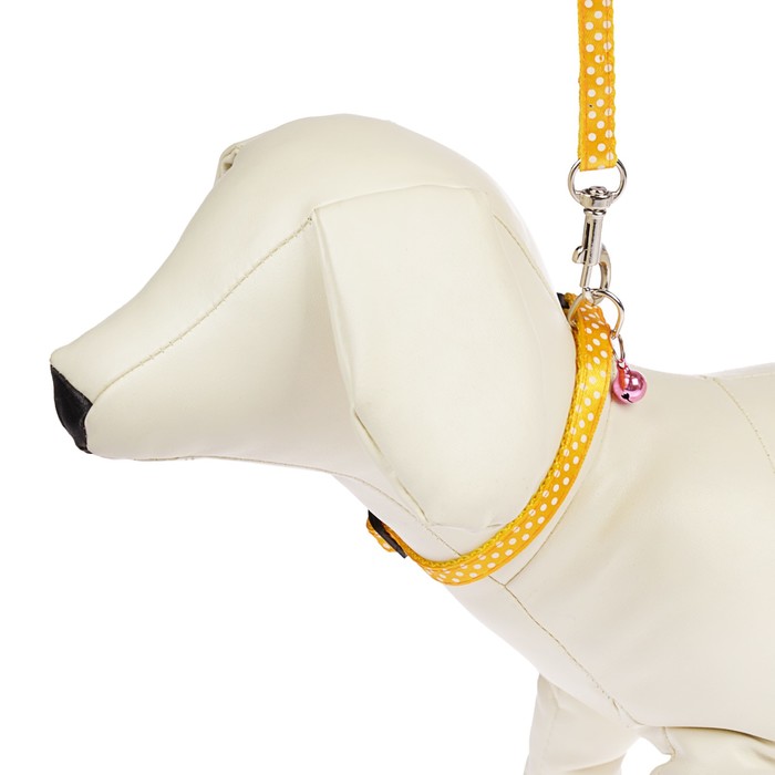 Комплект амуниции, ширина 1 см, ошейник 18-30 см, поводок 120 см, синий