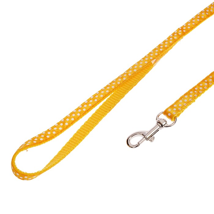 Комплект амуниции, ширина 1 см, ошейник 18-30 см, поводок 120 см, синий