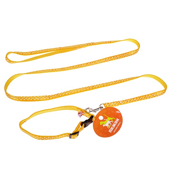 Комплект амуниции, ширина 1 см, ошейник 18-30 см, поводок 120 см, синий