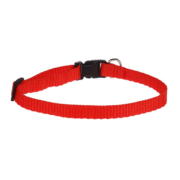 Ошейник "Симпл", 30 х 1 см, полипропилен, красный