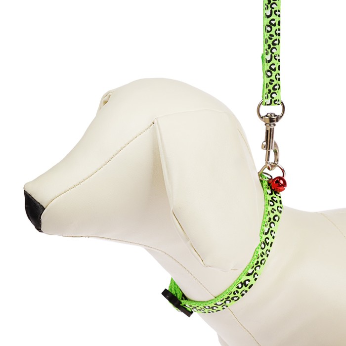 Комплект амуниции, ширина 1 см, ошейник 18-30 см, поводок 120 см, желтый с бабочками