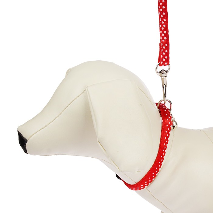 Комплект амуниции, ширина 1 см, ошейник 18-30 см, поводок 120 см, красный в горох