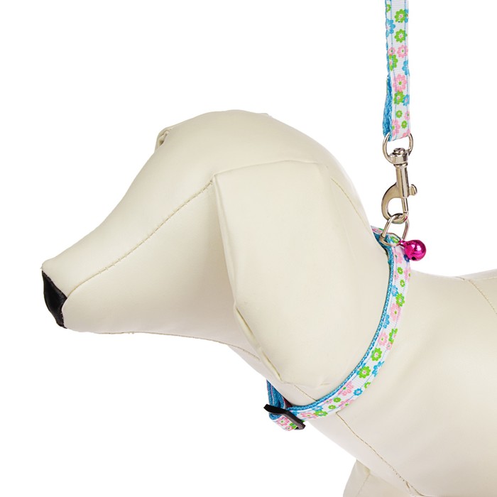 Комплект амуниции, ширина 1 см, ошейник 18-30 см, поводок 120 см, голубой в цветочек