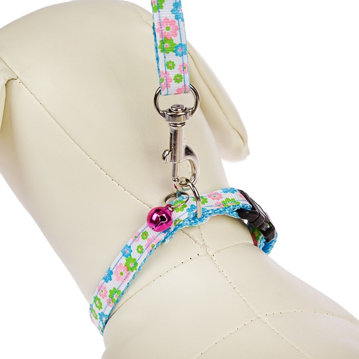 Комплект амуниции, ширина 1 см, ошейник 18-30 см, поводок 120 см, голубой в цветочек