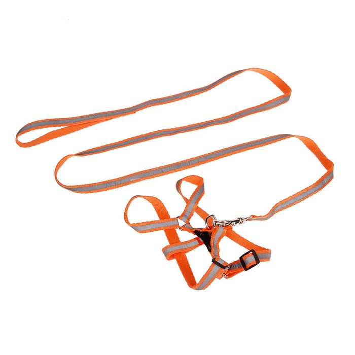 Комплект со светоотражающей лентой, ширина 1 см, поводок 120 см, шлейка 26-40 см, оранжевый