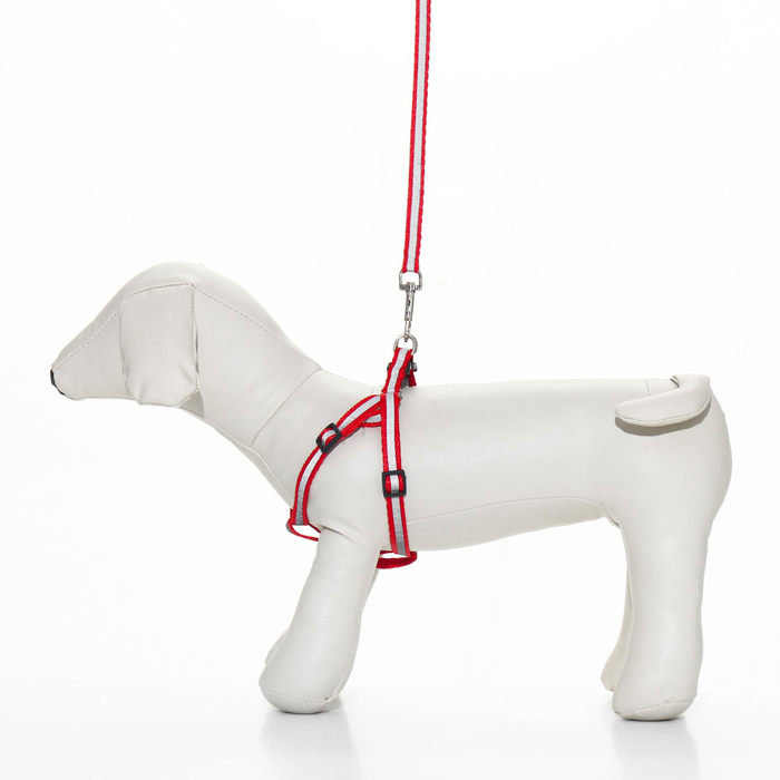 Комплект со светоотражающей лентой, ширина 1 см, поводок 120 см, шлейка 26-40 см, красный