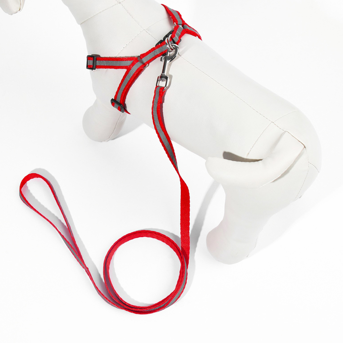 Комплект со светоотражающей лентой, ширина 1 см, поводок 120 см, шлейка 26-40 см, красный