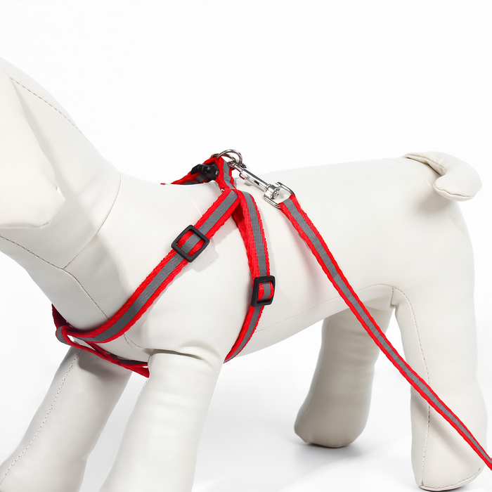 Комплект со светоотражающей лентой, ширина 1 см, поводок 120 см, шлейка 26-40 см, красный