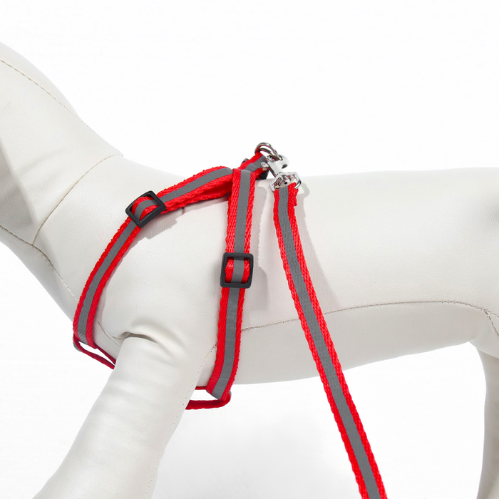 Комплект со светоотражающей лентой, ширина 1 см, поводок 120 см, шлейка 26-40 см, красный