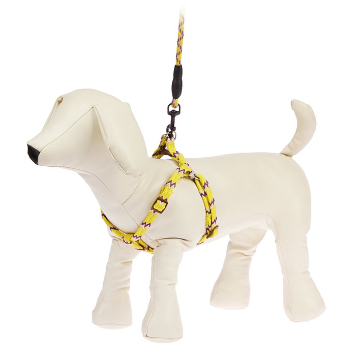 Комплект "Зигзаг" с круглым поводком и мягкой ручкой, 1 см, оранжевый